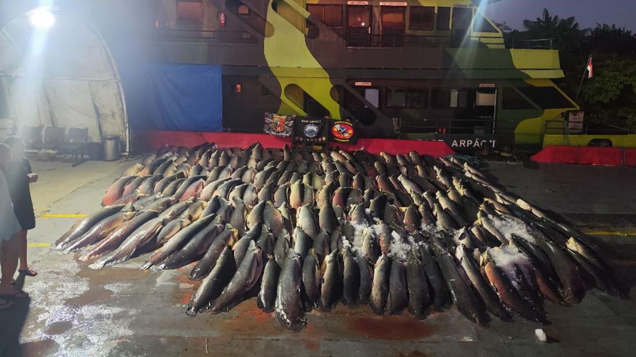 Polícia apreende 26 toneladas de pescado ilegal em embarcação em Coari
