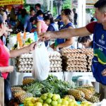 Saiba onde encontrar as Feiras Regionais em Manaus