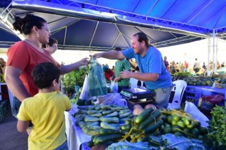Feiras de Produtos Regionais têm edição no São Raimundo