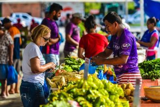 Feiras de Produtos Regionais terão edição especial nesta semana