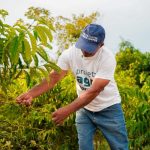 Embrapa seleciona para projeto agrícola com bolsa de R$ 1,9 mil 