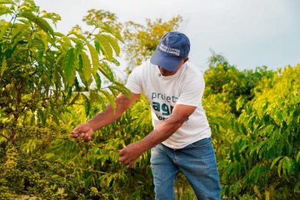 Embrapa seleciona para projeto agrícola com bolsa de R$ 1,9 mil 