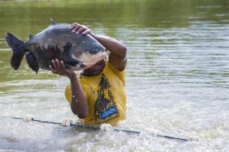 Pescadores de Tefé iniciam pesca do tambaqui após defeso