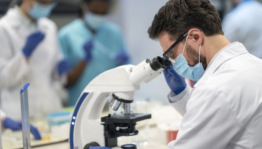 UEA abre inscrições para pós-graduação em biologia e química