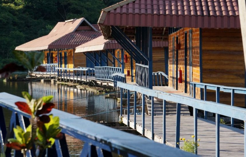 Instituto Mamirauá contrata analista de RH em Tefé