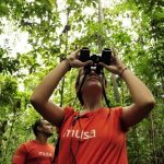 Musa abre inscrições para oficinas e mini-cursos em junho