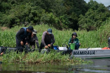 Instituto Mamirauá seleciona para duas vagas em Tefé