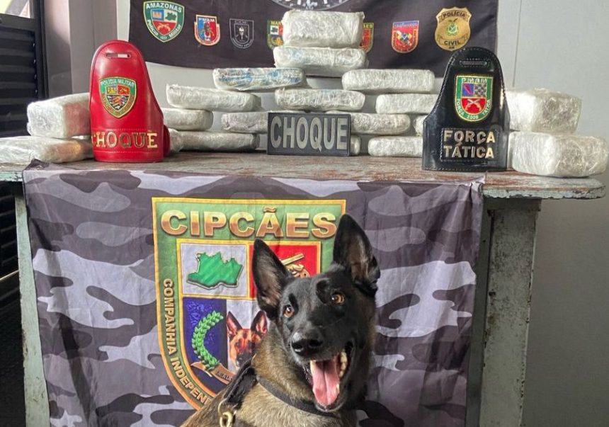 Cadela policial encontra droga em operação da Base Arpão