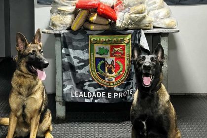 Cães farejadores encontram 91k de drogas avaliadas em R$ 4,4 milhões, em Coari.