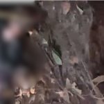 Homem desaparecido é encontrado morto em área de mata no bairro Tarumã