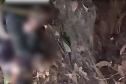 Homem desaparecido é encontrado morto em área de mata no bairro Tarumã