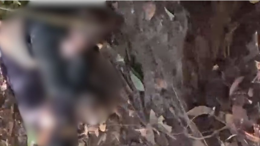 Homem desaparecido é encontrado morto em área de mata no bairro Tarumã