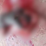 Discussão entre irmãos termina com um deles morto a golpe de faca em Manaus Um homem identificado como Uitalo dos Santos Souza, de 26 anos, morreu após ser atingido por golpes de faca durante uma discussão com o próprio irmão, na tarde desta segunda-feira (8), na Rua Seringueira, no bairro Lago Azul, zona norte de Manaus. O suspeito da agressão é Kaick Santos de Souza, de 20 anos, que deixou o local após o crime. De acordo com informações da Polícia Militar, equipes da 26ª Companhia Interativa Comunitária (Cicom) foram acionadas por volta das 12h30. Quando chegaram ao endereço, os policiais encontraram a vítima com ferimentos provocados por arma branca. Segundo relato da mãe dos envolvidos à polícia, os dois irmãos haviam discutido antes da agressão. Informações preliminares repassadas à polícia apontam ainda que, no dia anterior, Uitalo teria esfaqueado um tio da família, identificado como Alessandro Almeida Campos, durante um episódio de conflito familiar. Após ser ferido, Uitalo foi socorrido por equipes do Serviço de Atendimento Móvel de Urgência (SAMU) e encaminhado ao Hospital e Pronto-Socorro Platão Araújo, mas não resistiu aos ferimentos. Após o crime, Kaick fugiu e, até a última atualização do caso, não havia sido localizado. A investigação ficará sob responsabilidade da Polícia Civil, que deve apurar as circunstâncias e a motivação do ocorrido.