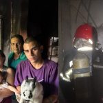 Coelha heroína ajuda a salvar família de incêndio em residência de Manaus