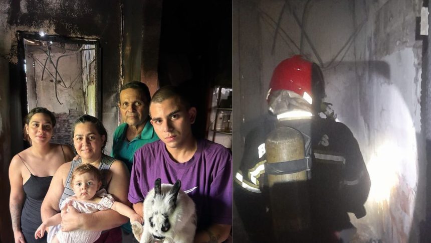 Coelha heroína ajuda a salvar família de incêndio em residência de Manaus