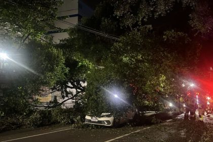 Árvore desaba sobre carros na Avenida Getúlio Vargas, em Manaus
