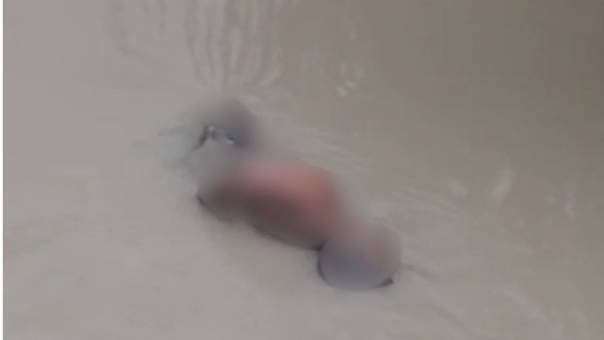 Corpo de homem é encontrado em igarapé na Zona Norte de Manaus