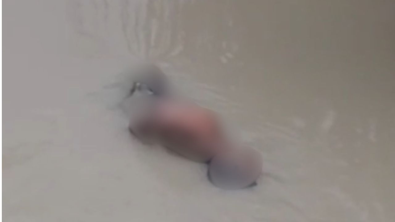 Corpo de homem é encontrado em igarapé na Zona Norte de Manaus