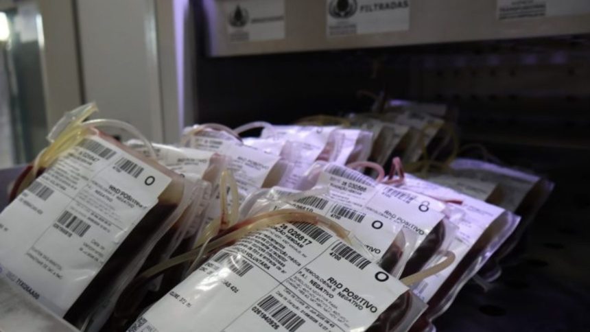 Complexo Hospitalar Sul destaca necessidade de doação de sangue e orienta população; confira