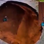 Gato é resgatado por bombeiros após cair em buraco aberto em rua de Manaus