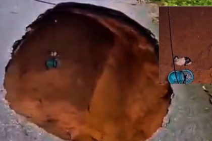 Gato é resgatado por bombeiros após cair em buraco aberto em rua de Manaus