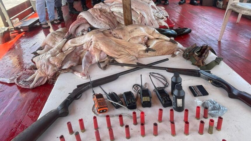 Fiscalizações apreendem drogas, armas e mais de 350 quilos de pescado e carne de caça ilegal no AM