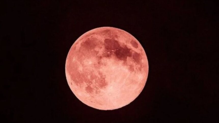 Lua de Morango poderá ser vista em todo o Brasil na noite desta segunda-feira