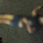 Homem morre após ser atropelado por micro-ônibus em avenida de Manaus