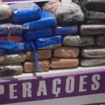 Fiscalização em ferry boat leva à apreensão de 49 tabletes de skunk no Amazonas