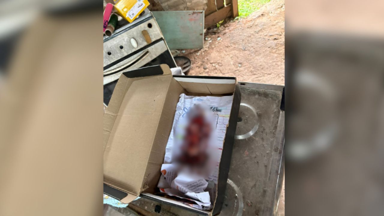 Feto é encontrado dentro de caixa de sapatos em residência em Itacoatiara