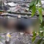 Mulher trans é encontrada morta dentro de igarapé na Avenida Constantino Nery