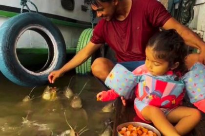 Pescador viraliza ao ensinar filha a alimentar peixes no Amazonas