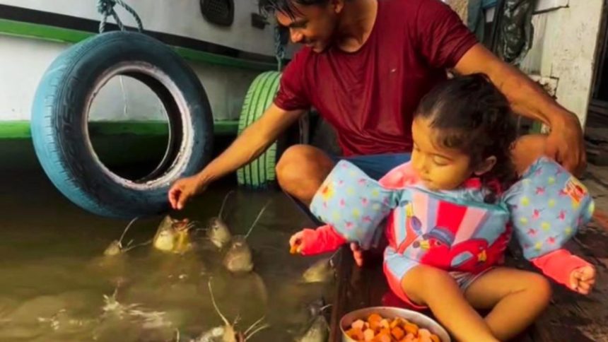 Pescador viraliza ao ensinar filha a alimentar peixes no Amazonas