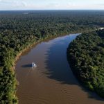 Área desmatada no Amazonas cai 57% nos cinco primeiros meses de 2026, aponta Inpe