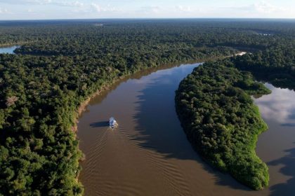 Área desmatada no Amazonas cai 57% nos cinco primeiros meses de 2026, aponta Inpe