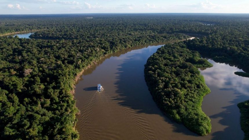Área desmatada no Amazonas cai 57% nos cinco primeiros meses de 2026, aponta Inpe