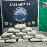 Passageiro é preso com 20 kg de maconha em embarcação no AM