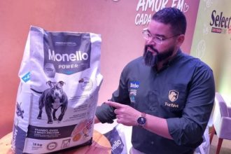 Setor pet cresce e movimenta mais de R$ 1,6 bilhão no AM