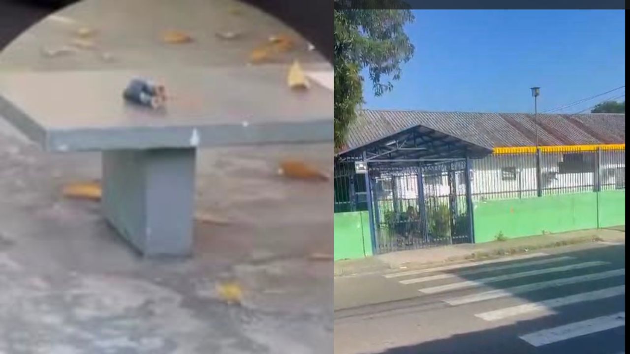 Veja momento em que Grupo Marte desativa explosivos encontrados em escola de Manaus